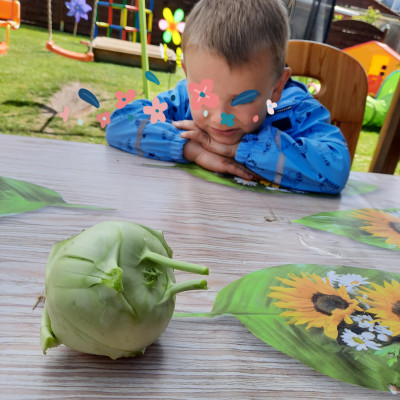 Obst und Gemüse selber ernten